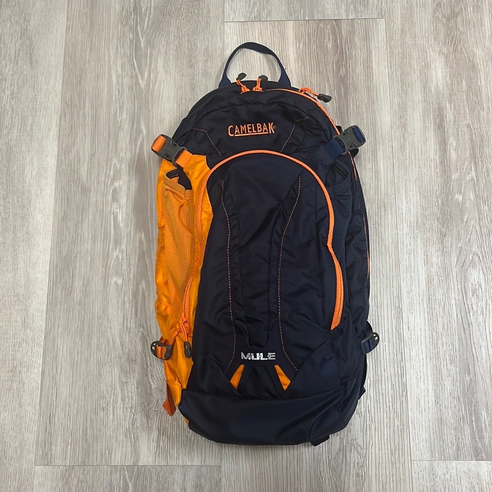 Camelback Mule